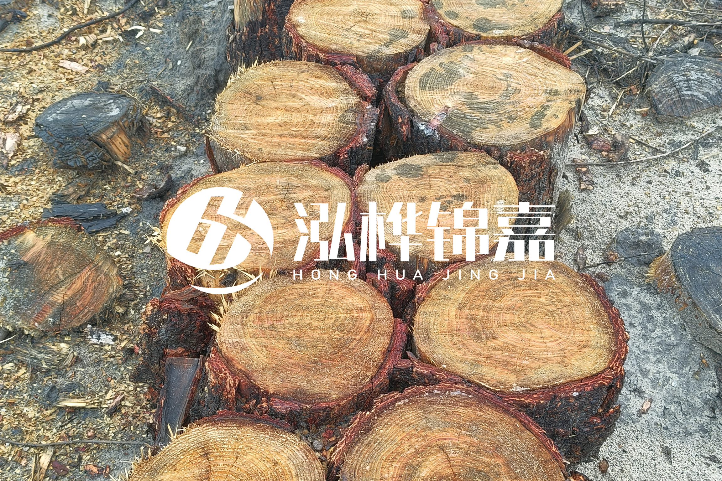 浙江臺州有清淤的公司嗎？浙江臺州有清淤施工隊(duì)嗎？