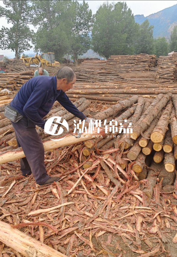 東營河道清淤專業(yè)施工隊(duì)-不同型號(hào)挖機(jī)清淤能力對(duì)比？