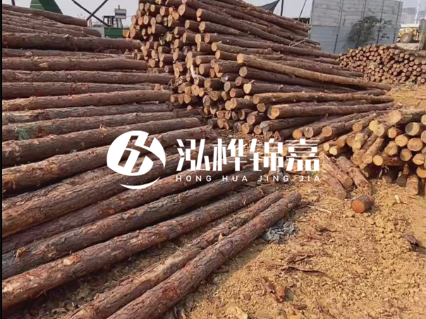 河道木樁施工遇到淤泥怎么辦？打多深才能防沖刷？
