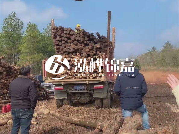 防腐木樁價(jià)格比普通木樁貴多少？防腐木樁有哪些處理方式？