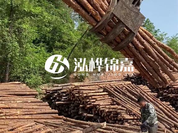 哪里能買到優(yōu)質(zhì) 3 米松木樁？長沙有松木樁批發(fā)工廠嗎？