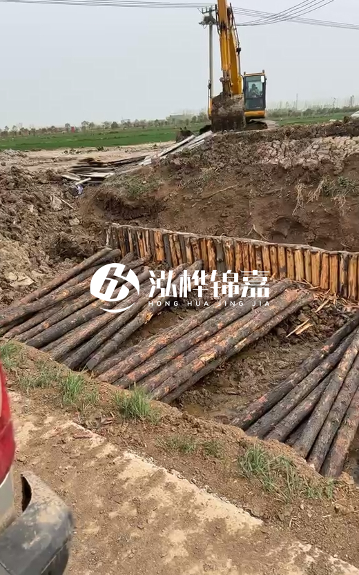 4米直徑12-13油松批發(fā)價最低多少？報價含稅含運嗎？