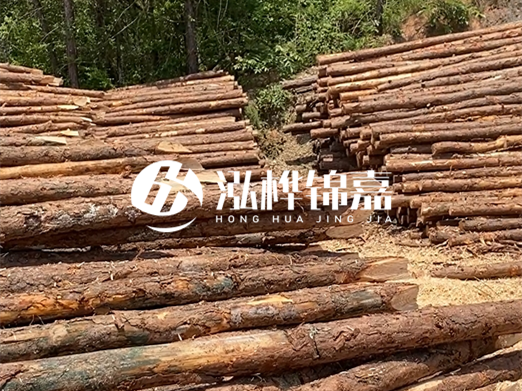松木樁的運(yùn)輸費(fèi)用是否包含卸車費(fèi)？卸貨時需要注意哪些安全問題？