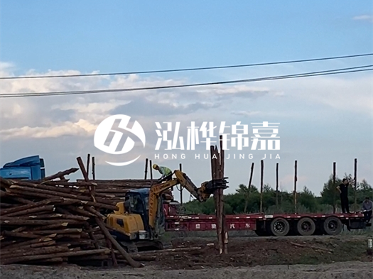 河北打樁木源頭廠家泓樺錦嘉 - 北方常用打樁木是什么？