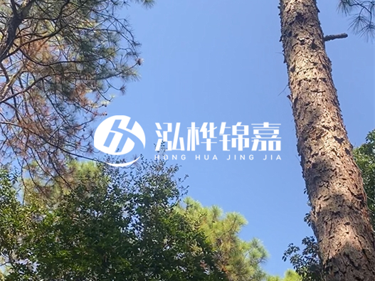 松木樁廠家泓樺錦嘉可以實(shí)地考察嗎？需要提前預(yù)約嗎？