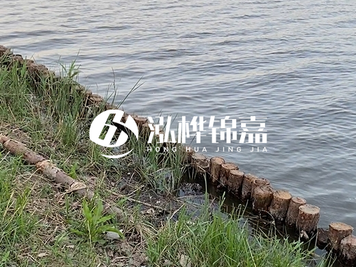 防洪松木樁施工重要性？河道打木樁的位置怎么確定？