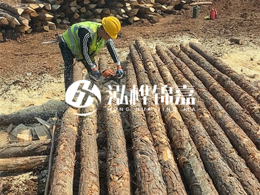 松木樁批發(fā)廠家泓樺錦嘉-河道打樁木施工中怎么防止樁頭被打壞？